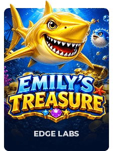 Emily's Treasure