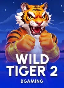 game info