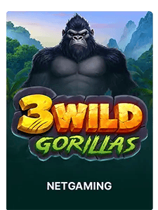 3 Wild Gorillas