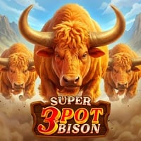 Super 3 Pot Bison