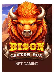 Bison Canyon Run