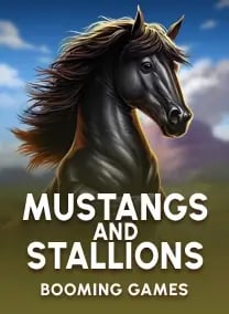 Mustangs and Stallions