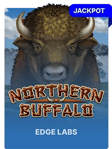 Northern Buffalo