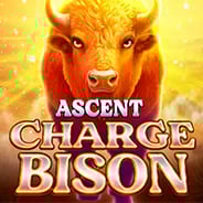 Ascent Charge Bison