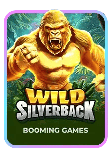 Wild Silverback