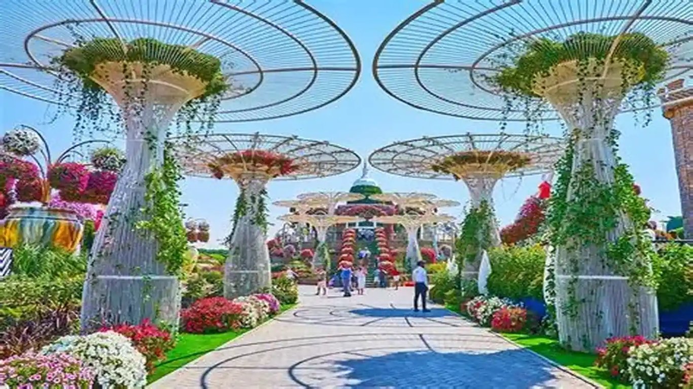 Featured Image