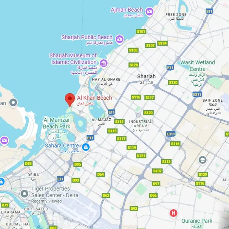 Project Connectivity Image