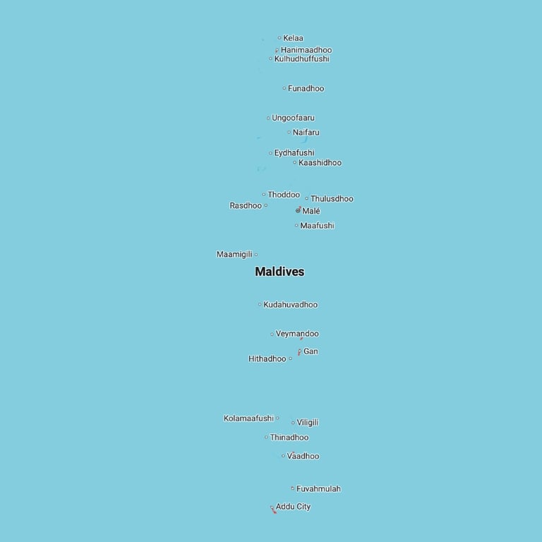 Project Connectivity Image