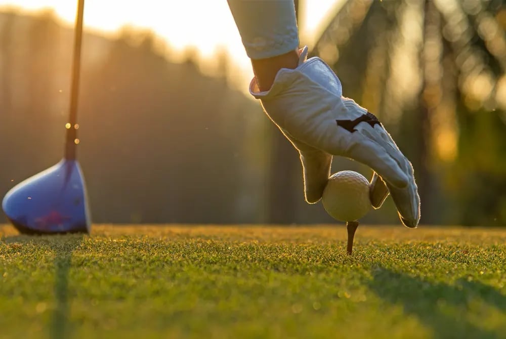 Emaar Golf Homes gallery image 2