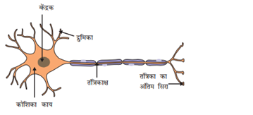 uploaded image