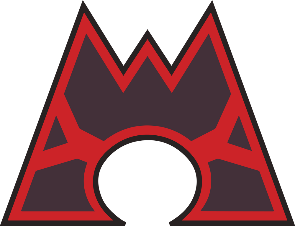 Team Magma Bundle