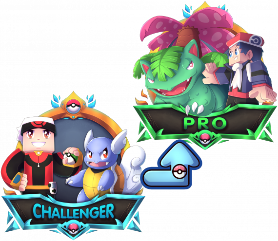 Challenger to Pro