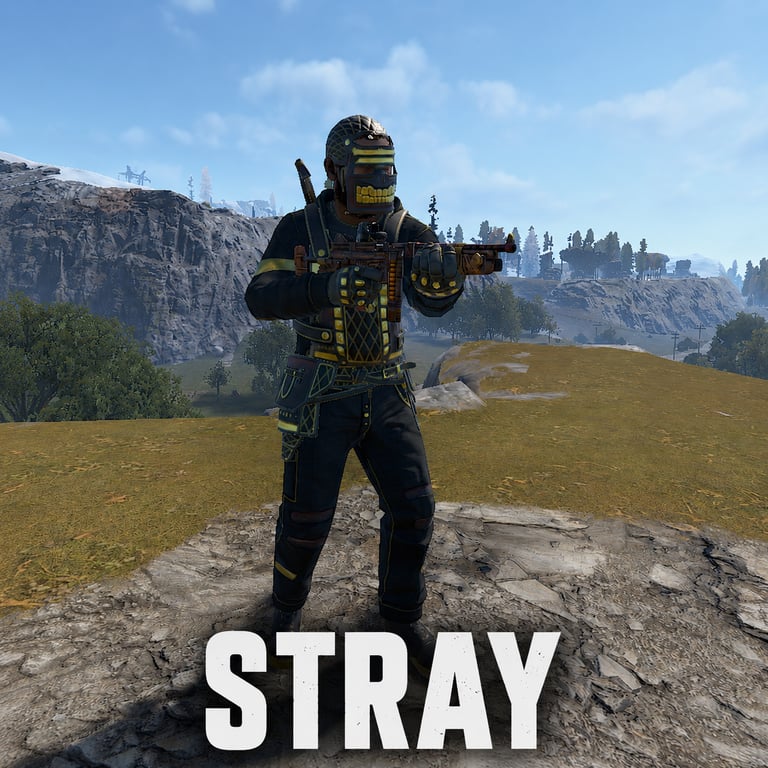 Stray