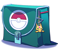 Bag of PokeDisguises