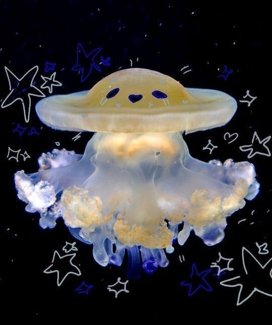 Myconid