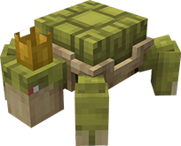 Turtle Pet