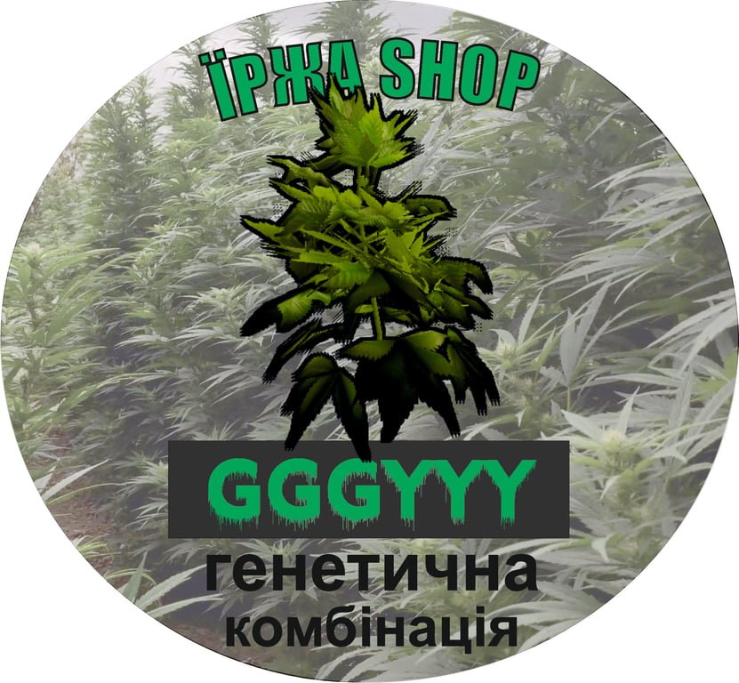 HempGenSet GGGYYY