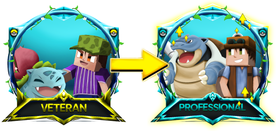 Veteran --> Pro Rank