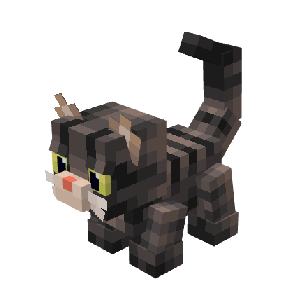 European Cat