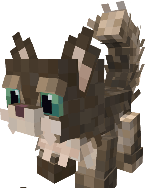 Saphy Pet Cat