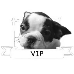 Brit Rust • Store › VIP