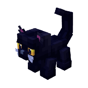 Bombay Cat