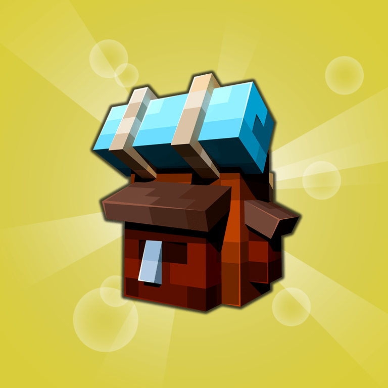 Starter Bundle