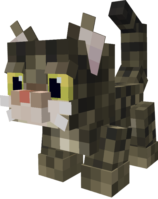 Hazel Pet Cat
