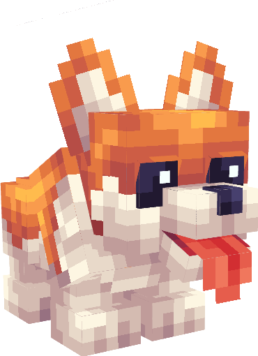 Corgi Pet Dog