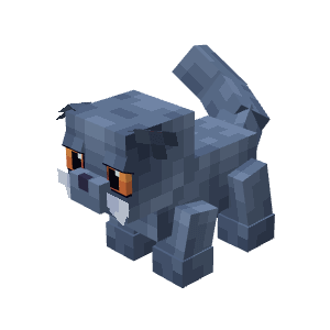 ScottishFold Cat