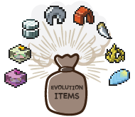Evolution Item Set