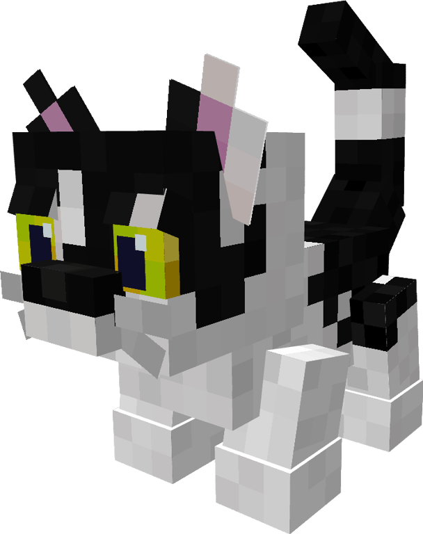 Model Pets