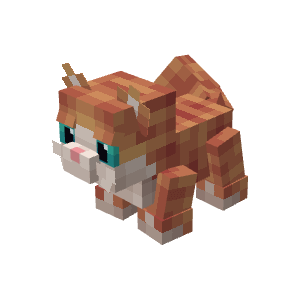 Munchkin Cat