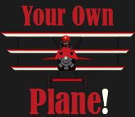 Your own Airplane!