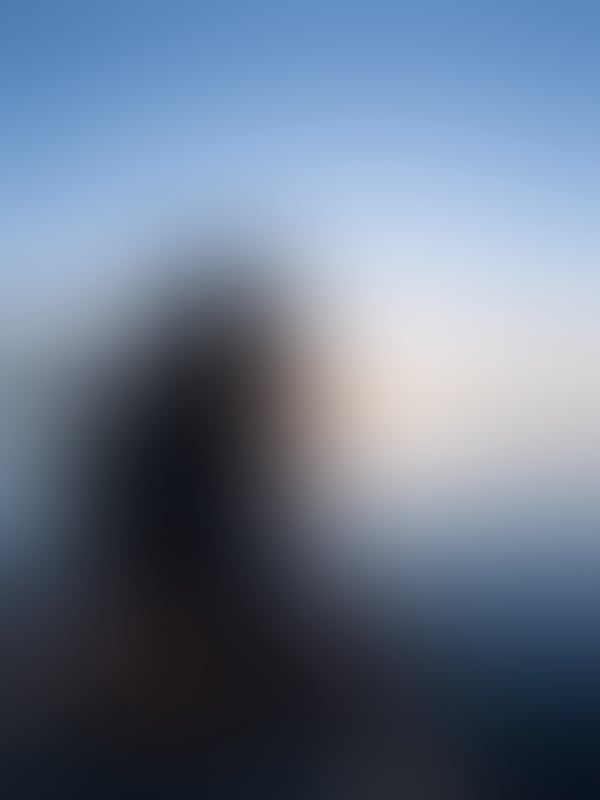 Aneesa Badshaw
