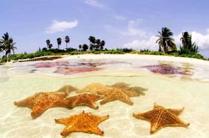 Starfish Point, Grand Cayman // Kiterr.com