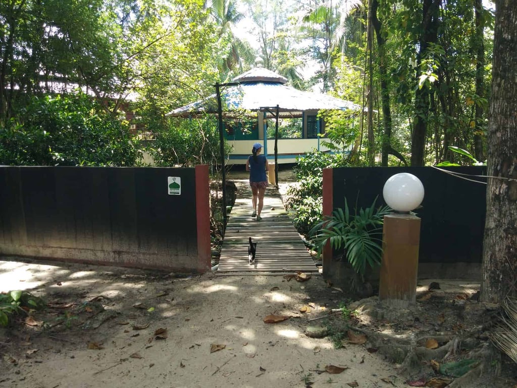 Jungle trekking route in Perhentian Besar island.