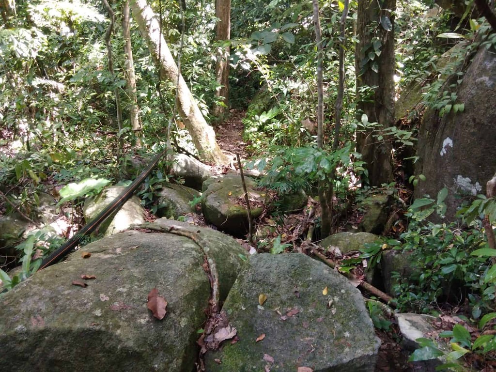 Jungle trekking route in Perhentian Besar island.