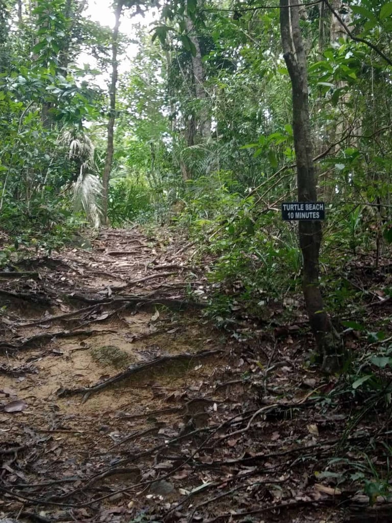 Hiking route in Perhentian Kecil.