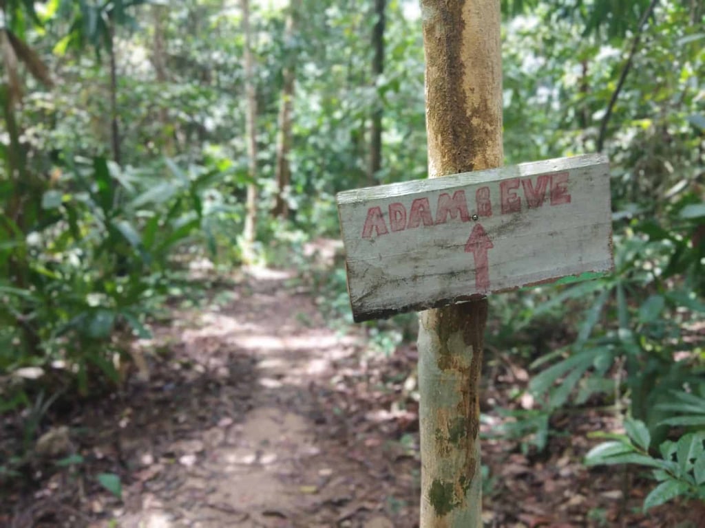 Hiking route in Perhentian Kecil.