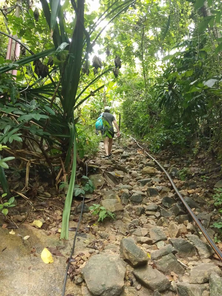 Hiking route in Perhentian Kecil.
