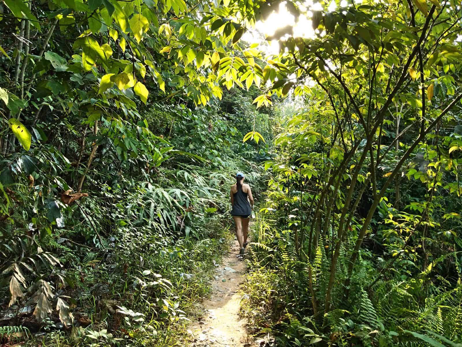 Bukit-Kiara-jungle-hike-Mont-Kiara-TTDI-Kuala-Lumpur-Malaysia ] Travel Mermaid