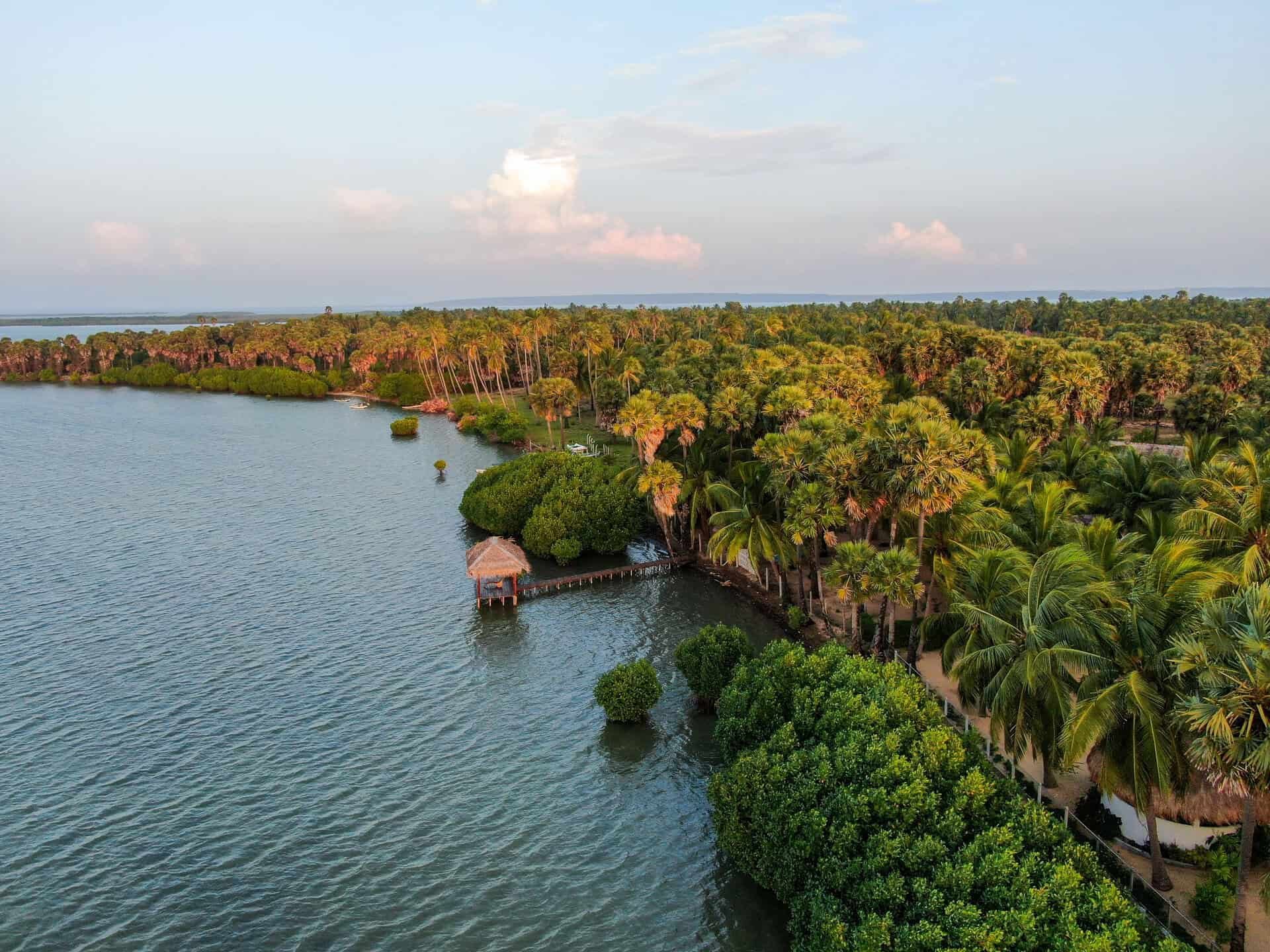 Drone shot of Rascals kite resort in Kalpitiya, Sri Lanka