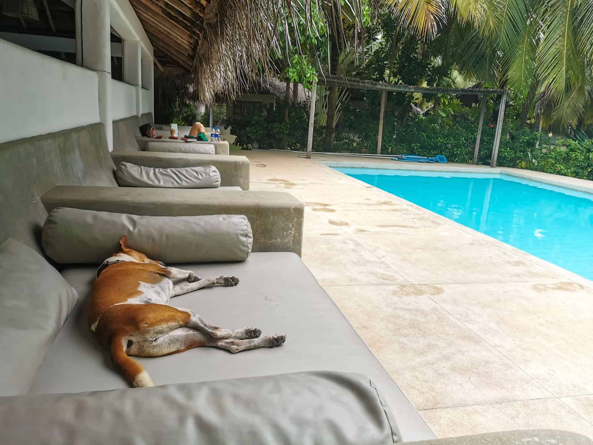 By the pool at at Rascals Kite Resort in Kalpitiya