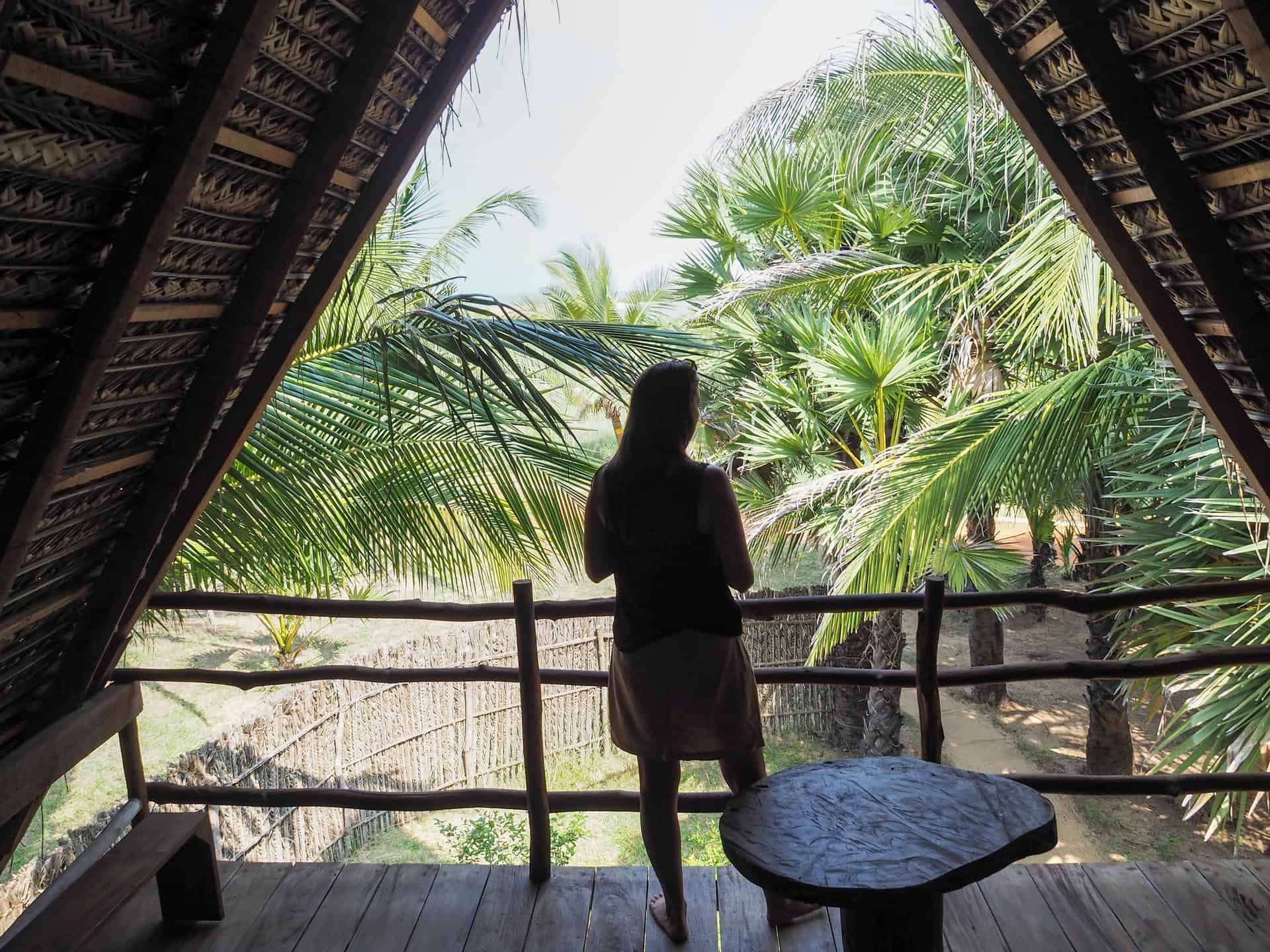 Looking out at the tropical garden, from the top of a cabana at Elements Kite Resort in Kalpitiya, Sri Lanka