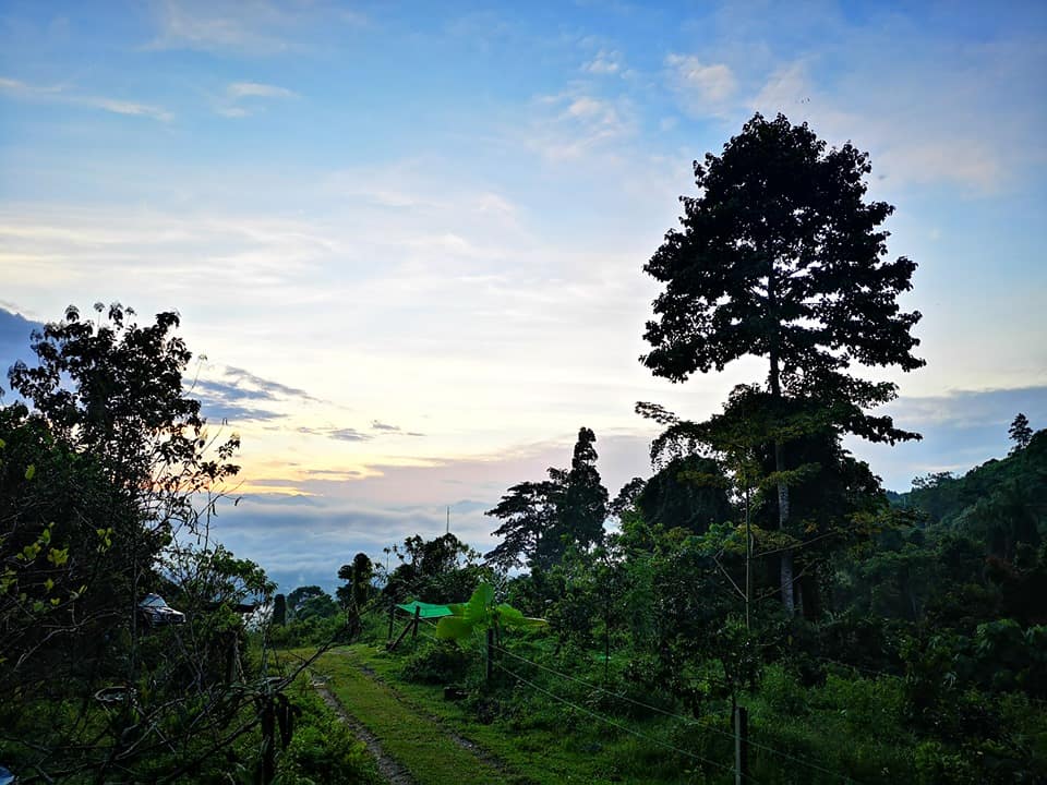 Permaculture Perak is an eco farm stay getaway near Kuala Lumpur // travelmermaid.com