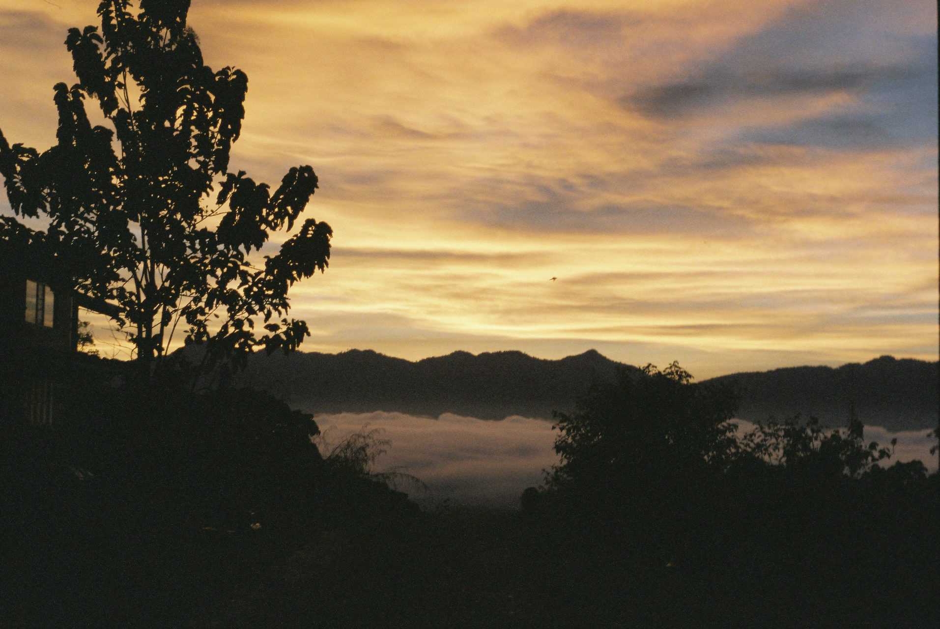Stunning landscapes at Permaculture Perak in Malaysia // travelmermaid.com