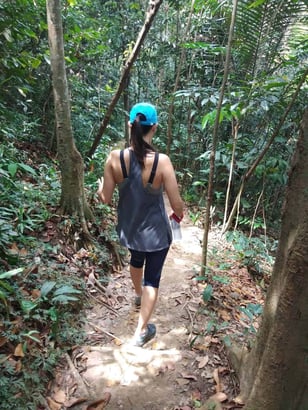Jungle Hiking in Kuala Lumpur – Bukit Kiara Trail Guide