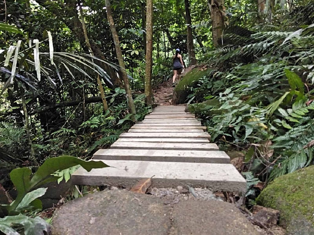 jungle-hiking-Kuala-Lumpur-Bukit-Kiara-trail-guide-TTDI-Mont Kiara-Malaysia ] Travel Mermaid