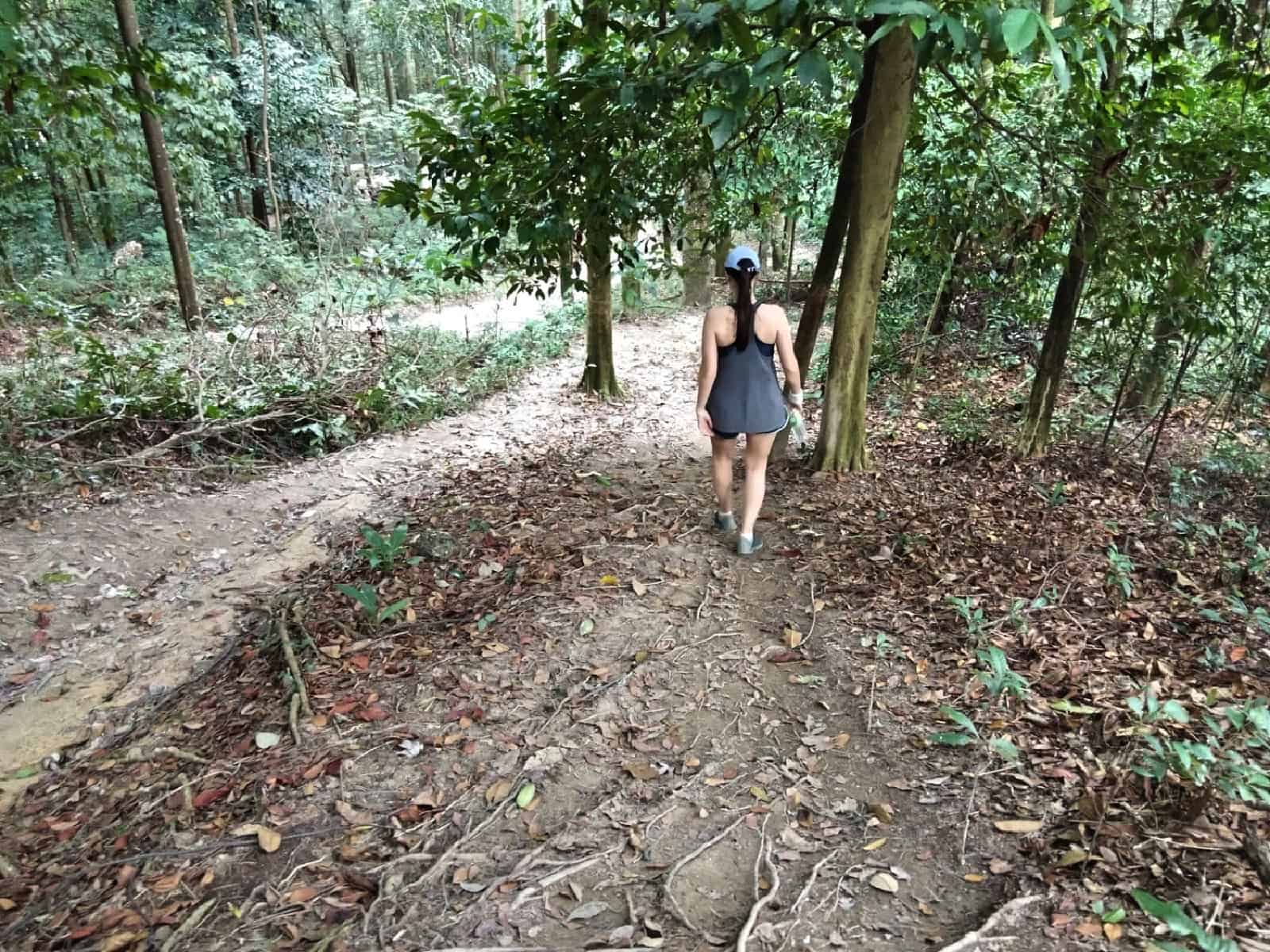 jungle-hiking-Kuala-Lumpur-Bukit-Kiara-trail-guide-TTDI-Mont Kiara-Malaysia ] Travel Mermaid